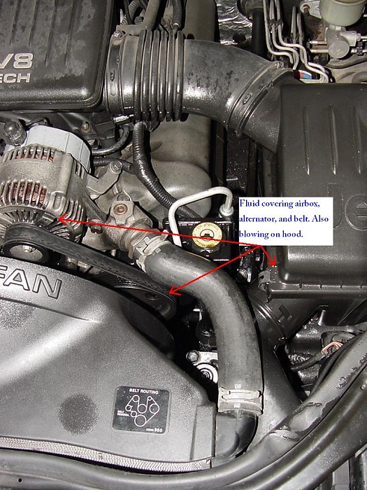 1999 Jeep grand cherokee power steering leak #2