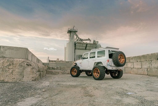 Name:  Fuel_4.jpg
Views: 511
Size:  65.0 KB