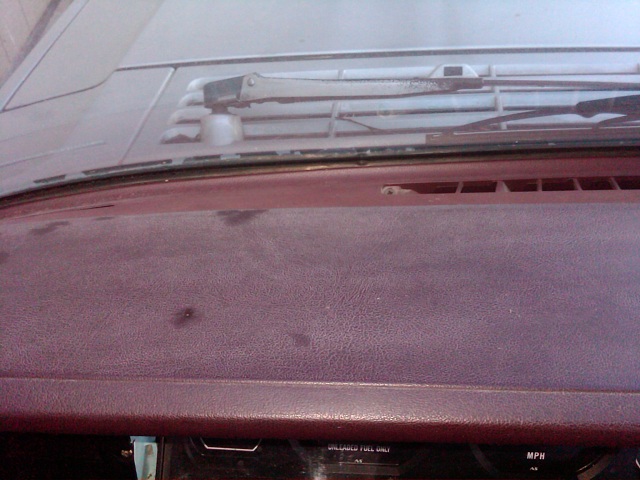 Maroon dash-img-20120406-00292.jpg