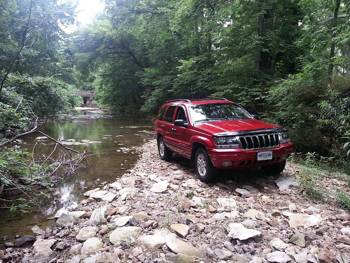 Cruise in the creek-image.jpg