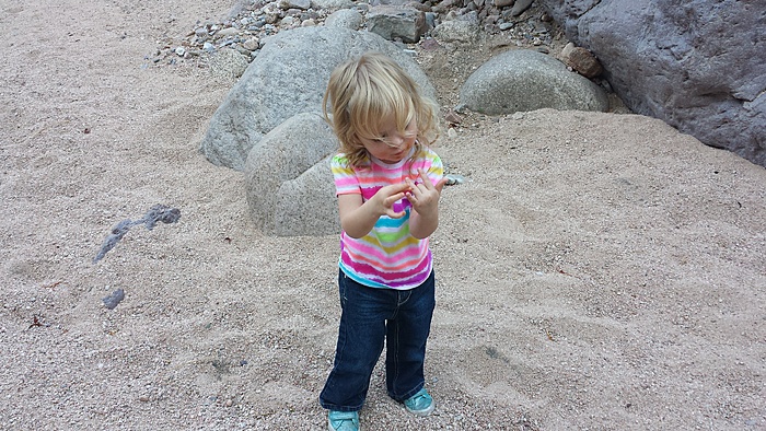 4 peaks run today.-lizyboe.jpg