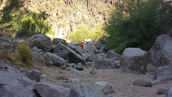 4 peaks run today.-mpjpetg.jpg