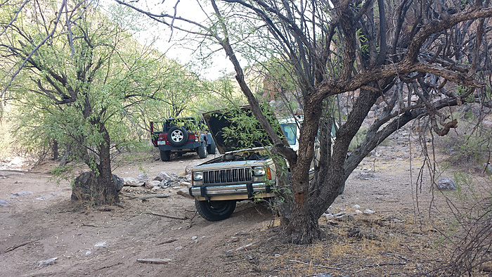 4 peaks run today.-pt9e2wm.jpg