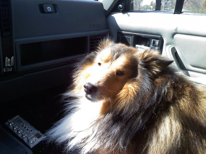 Sick Offroad Pics!-189860_1573285460975_1500699062_31248287_7467925_n.jpg