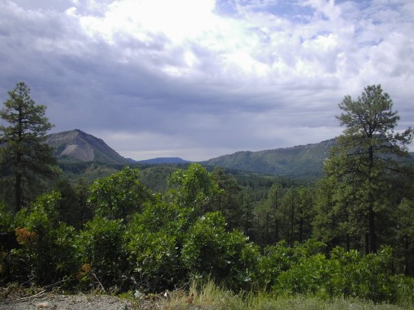 Name:  view.jpg
Views: 131
Size:  61.8 KB