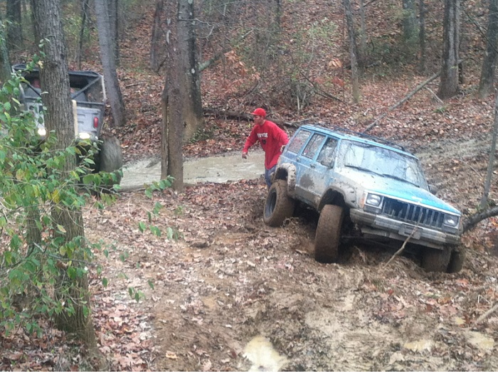 Redbird 11/2011-image-1697728025.jpg