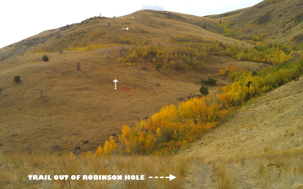 Idaho-Nevada border (Robinson Hole)-trail-out-robinson-hole.jpg