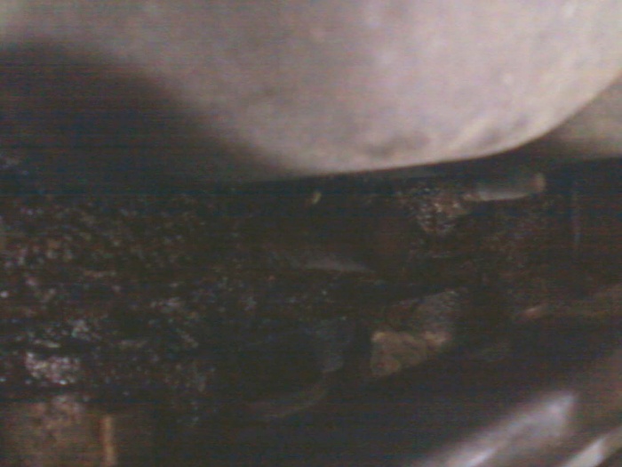 Oil leak New to fixing things?-back-pan.jpg