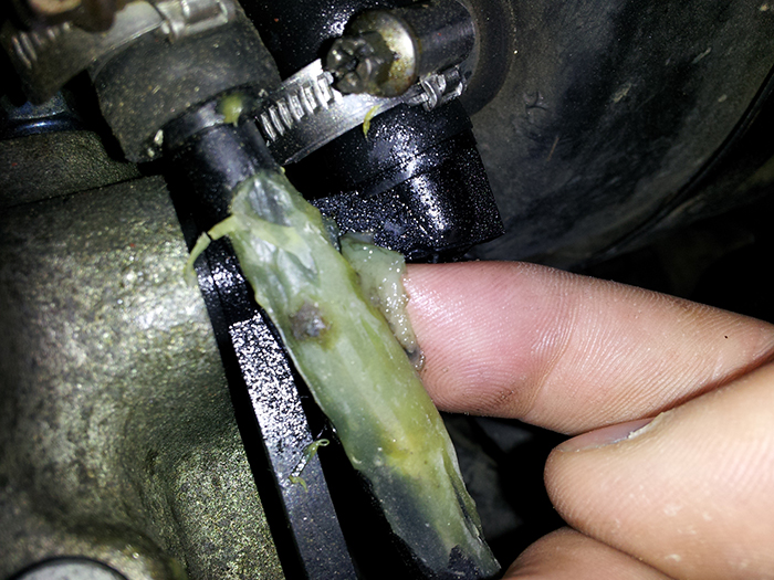 Leaking ABS pipe, need advice-2012-05-25-14.29.47.jpg