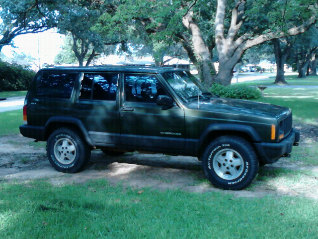 would spray on liner look or work ok to replace molding?-forumrunner_20120814_055010.jpg