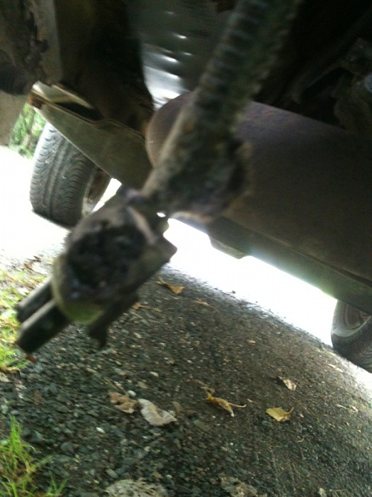 What is this??-image-2222336009.jpg