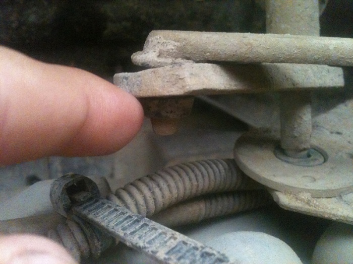 Need help, what is this? pics inside-image-1388398025.jpg