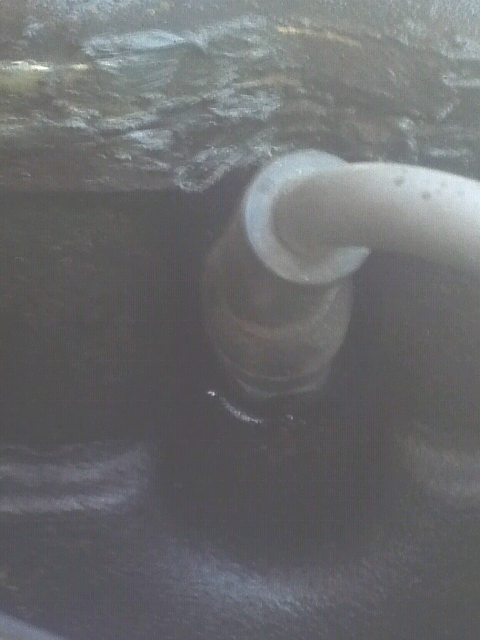 Bubbling around spark plug-forumrunner_20120902_145249.jpg