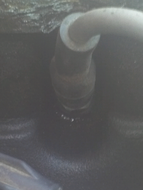 Bubbling around spark plug-forumrunner_20120902_145315.jpg