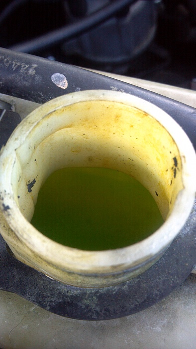 Coolant level-forumrunner_20120919_144215.jpg