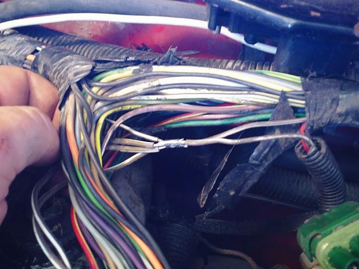 pops and sputters while revving-sensor-ground-wires.jpg