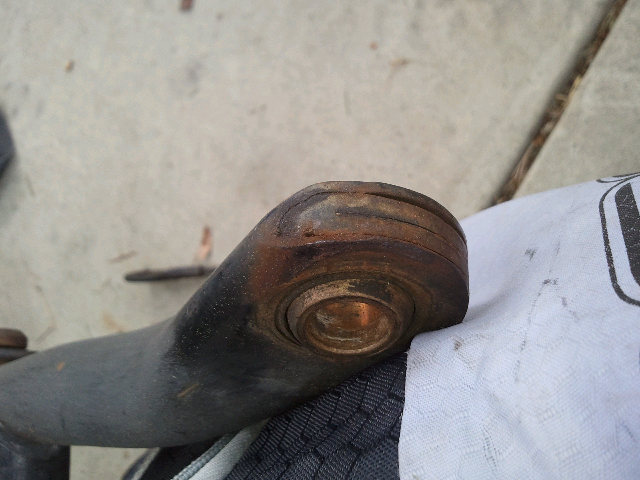 What are these called?-forumrunner_20121012_114405.jpg