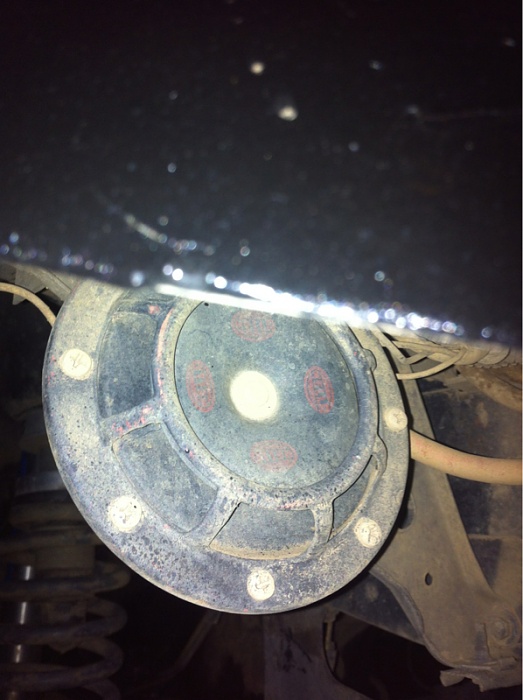 Horn replacements-image-1971513904.jpg
