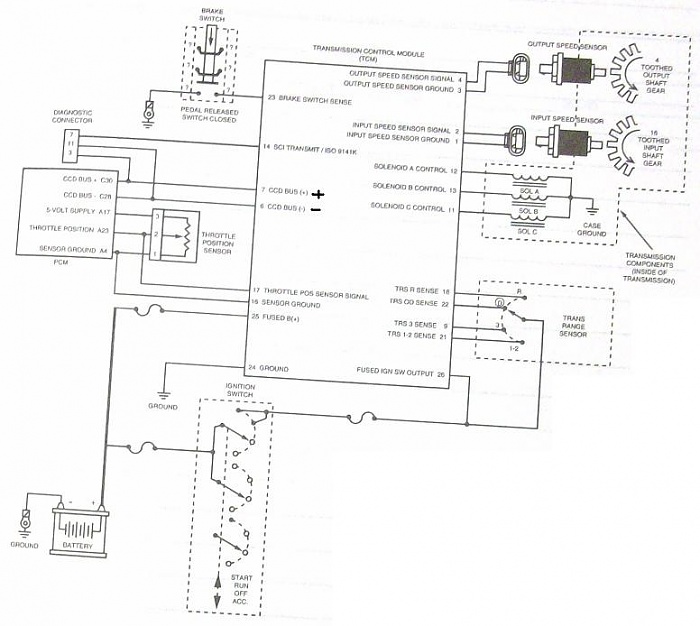 99 TCM diagram AW4-tr-diagram2-f.jpg