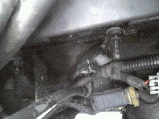 Name:  Jeep 002.jpg
Views: 714
Size:  42.5 KB