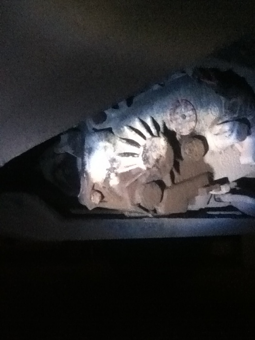 Transfer case soaked in fluid along with underside of body! Help please!-image-1901422299.jpg