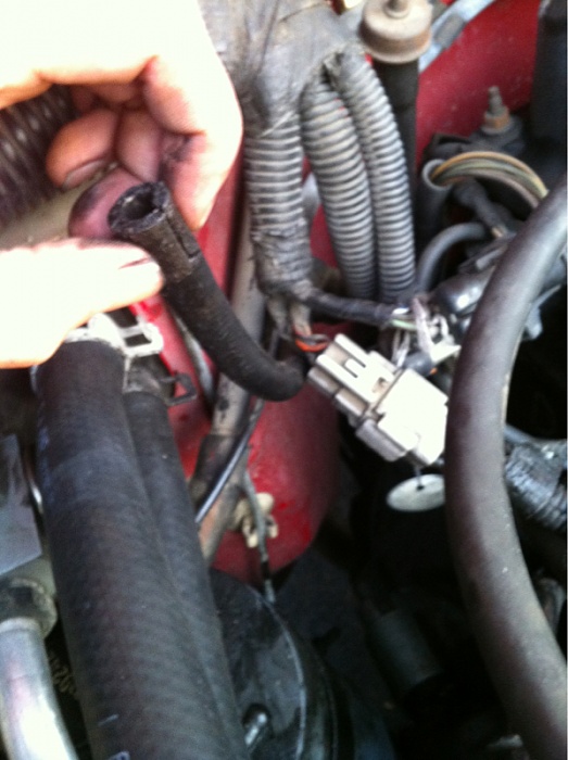 Thhis hose goes tooooo????-image-2281479370.jpg