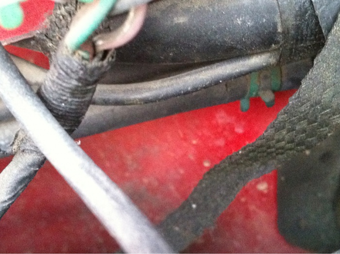Thhis hose goes tooooo????-image-1359172627.jpg
