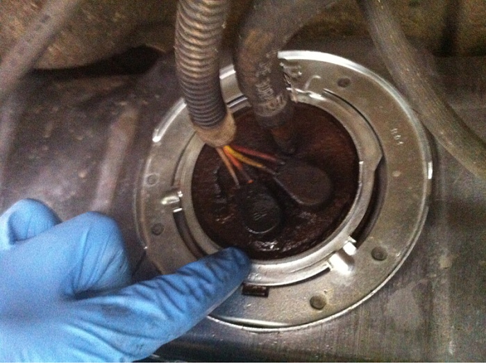 Fuel tank leak, specific question-image-193966822.jpg