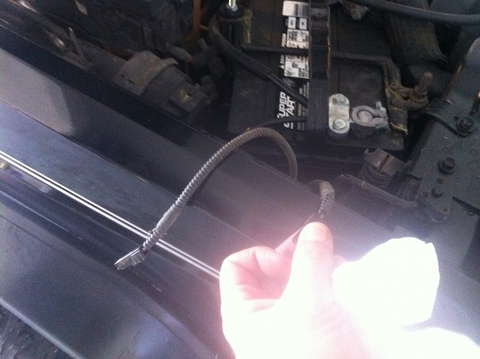 Help, someone know what theses wires are 4-fish-002.jpg