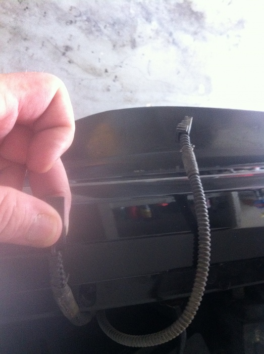 Help, someone know what theses wires are 4-fish-001.jpg