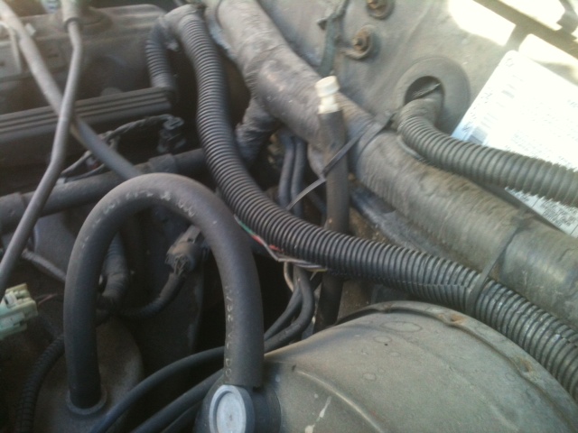 what is this hose?-hose1.jpg