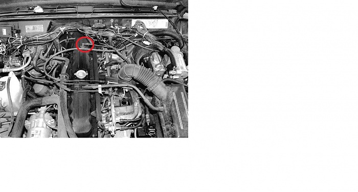 what is this?-fix-.jpg