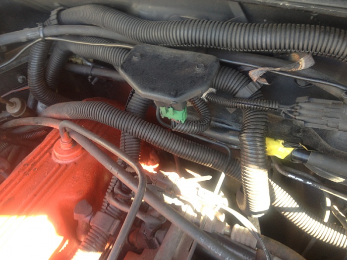 Does this look bad?-image-4183095817.jpg