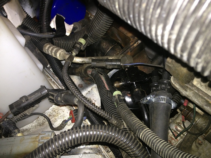 Wire confusion-image-2717701256.jpg