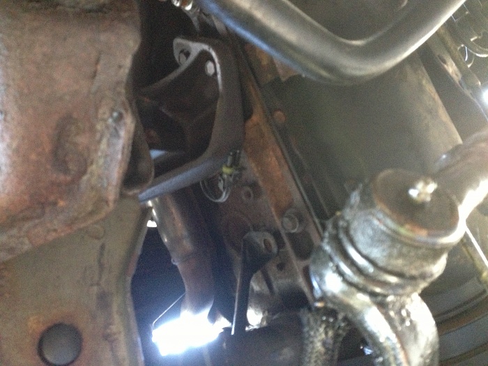 Anyone know what this is?-image.jpg