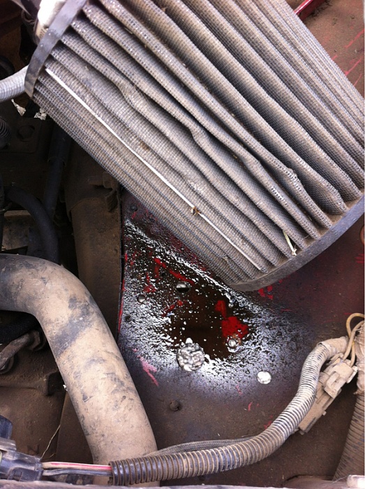 Oil coming out of air filter-image-700018823.jpg