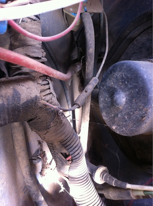 Installing speakers/sub?-image-4015615185.jpg
