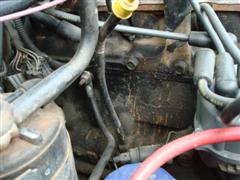 Name: DSC02370.JPG
Views: 134
Size: 26.5 KB