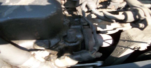 Name: 100_0271.jpg
Views: 258
Size: 43.5 KB