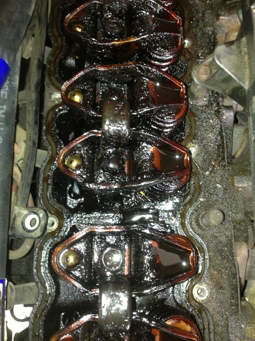 Engone gunk-image-2902572936.jpg