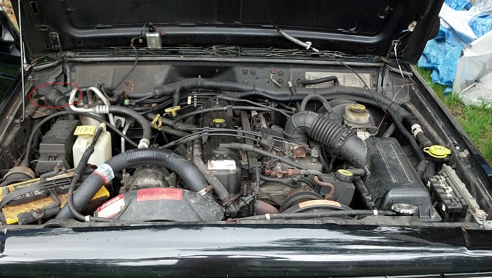 Cross members?-under-hood.jpg
