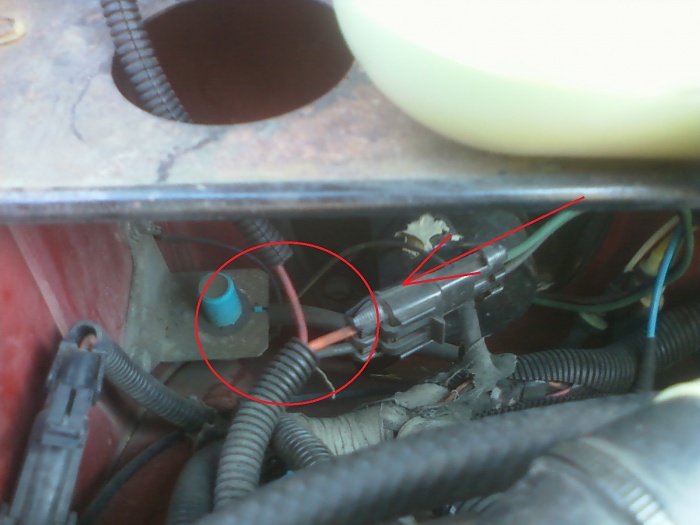 Help Me Identify this red wire.-wire.jpg