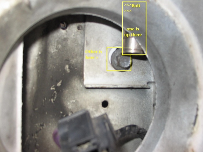 hood latch-bolts.jpg