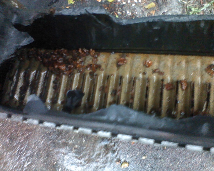 Renix still overheating...-0803130828a_274620.jpg