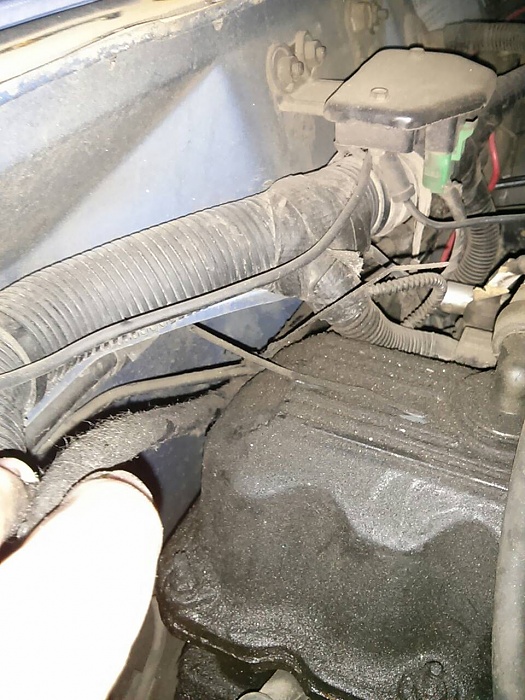 Random Hose Under Hood-uploadfromtaptalk1381272925546.jpg