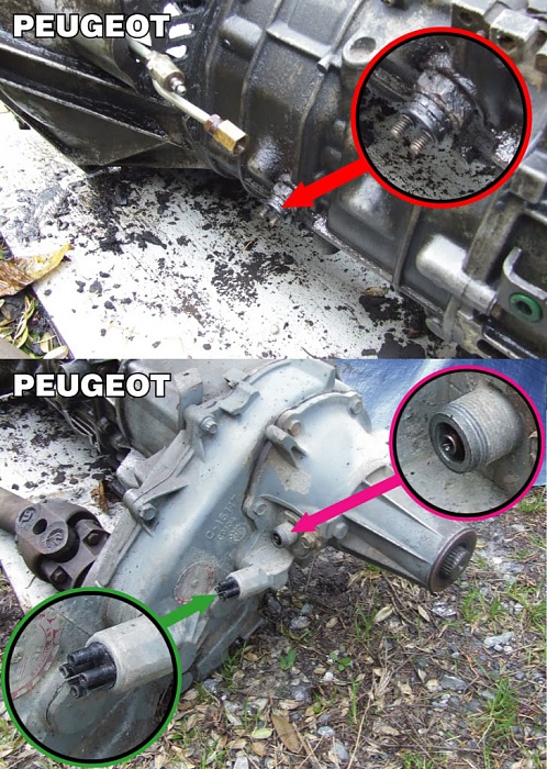 Reverse lights-peugotplugs.jpg