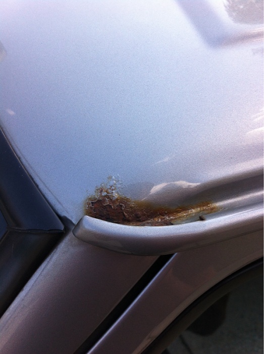 Micro rust spots-image-3412080531.jpg