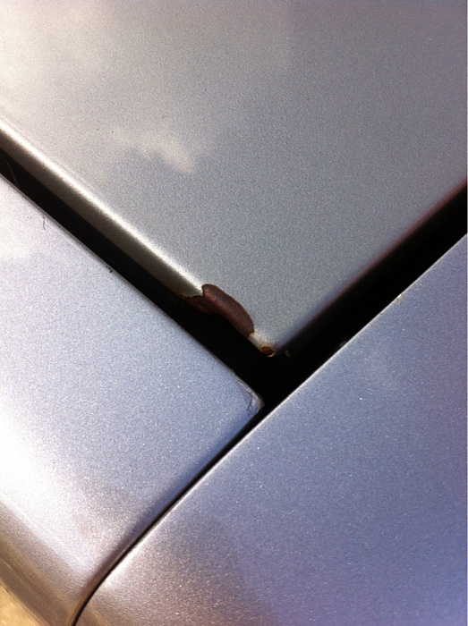 Micro rust spots-image-4218428813.jpg