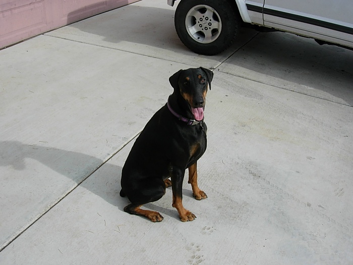 A fire waiting to happen-princess-6-.jpg