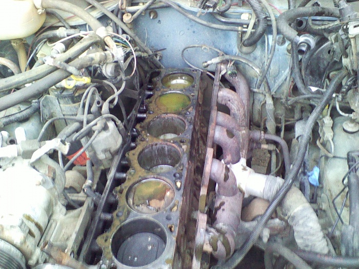 Might need to rebuild my motor???-131109_0001.jpg
